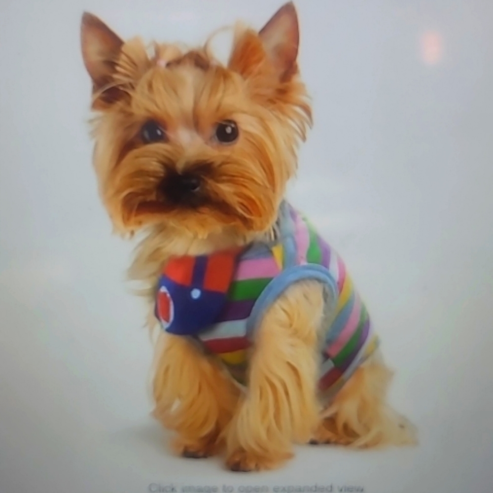 Furryilla Dog Pet Costume Size Small Rainbow Shirt